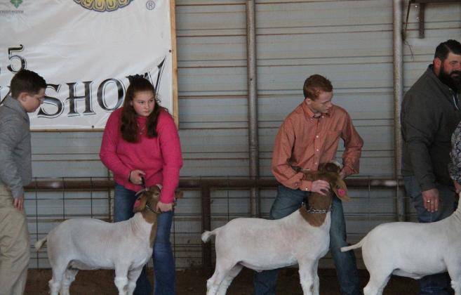 SPOTLIGHT ON MOTLEY COUNTY JUNIOR LIVESTOCK SHOW