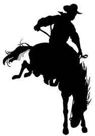 Welcome to the rodeo!