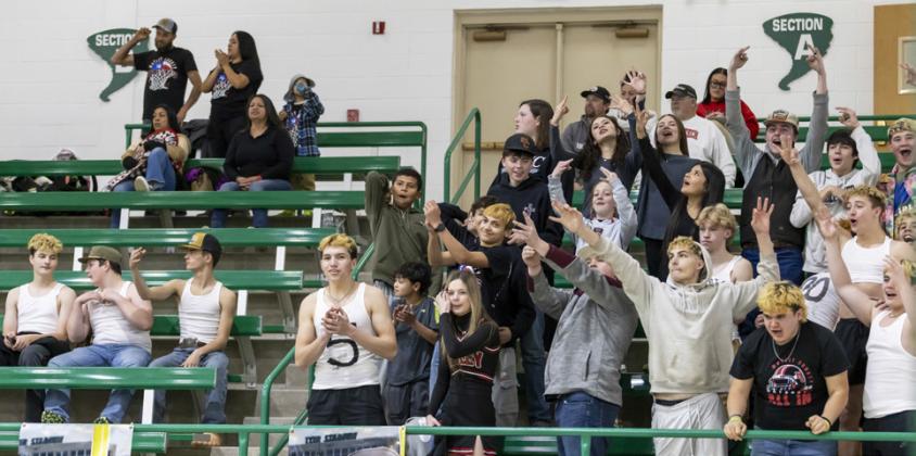 Lady Mats win bi-district gold ball, fall at Area
