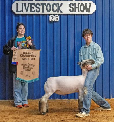 GRAND CHAMPION LAMB LOGAN LECROY