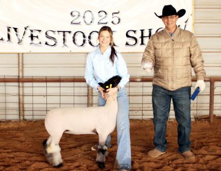 SENIOR SHOWMANSHIP, LAMB HARLEE HILL