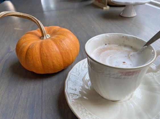 ORANGEYOU GLAD it’s so easy to add pumpkin flavors to your favorite warm cocoa? | Angelina LaRue PHOTO