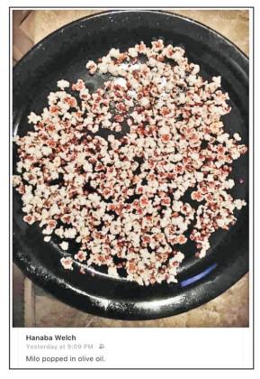 Milo: It’s what’s popping!