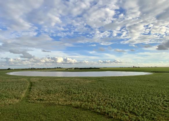 PLAYA FIELD DAY has been a popular learning experience for farmers and naturalists throughout the South Plains. The 2024 event is coming up May 16 in Floyd County. | COURTESY PHOTO