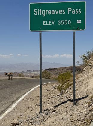 SPOTLIGHT ON ROUTE 66 RAMBLE: DAY 8, ARIZONA
