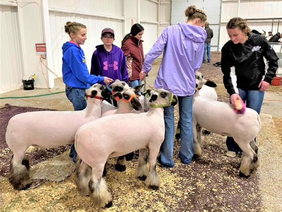 SPOTLIGHT ON BRISCOE COUNTY STOCK SHOW