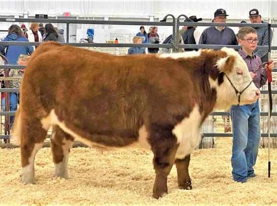 SPOTLIGHT ON BRISCOE COUNTY STOCK SHOW