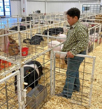 SPOTLIGHT ON BRISCOE COUNTY STOCK SHOW
