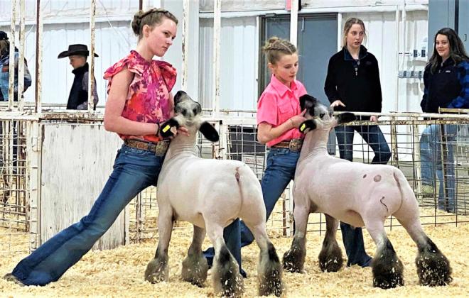 SPOTLIGHT ON BRISCOE COUNTY STOCK SHOW