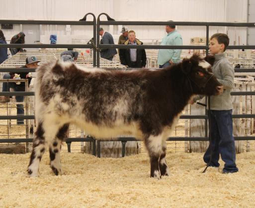 SPOTLIGHT ON BRISCOE COUNTY STOCK SHOW