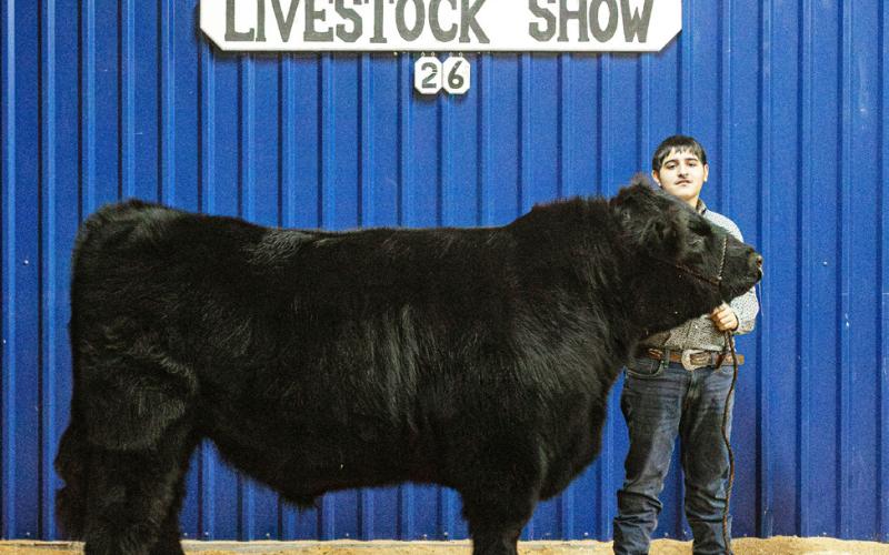 RESERVE GRAND CHAMPION STEER KEATON CANALES