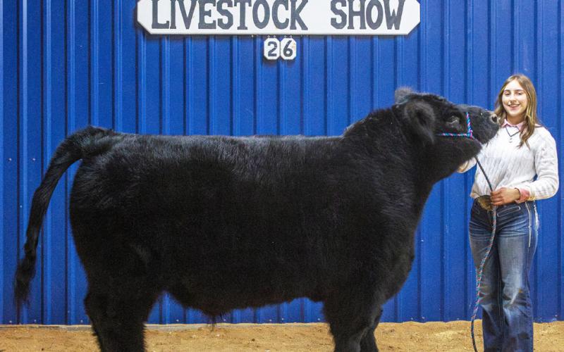 GRAND CHAMPION STEER CAMDYN CANALES