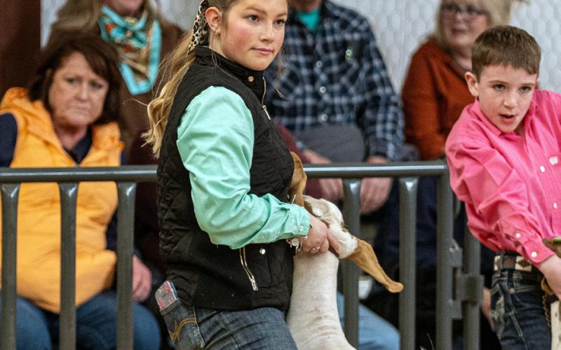 GOATS SHOW