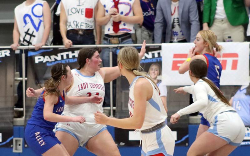 VALLEY FALLS TheValley Lady Patriots girls varsity basketball team took a tough loss last week, falling to the Borden County Lady Coyotes 45-37 in the Area playoff, bringing their season to a close. | SHADI BUCHANAN