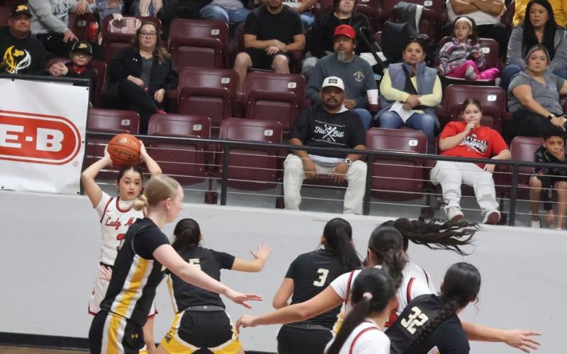 SPOTLIGHT ON GIRLS BASKETBALL PLAYOFFS