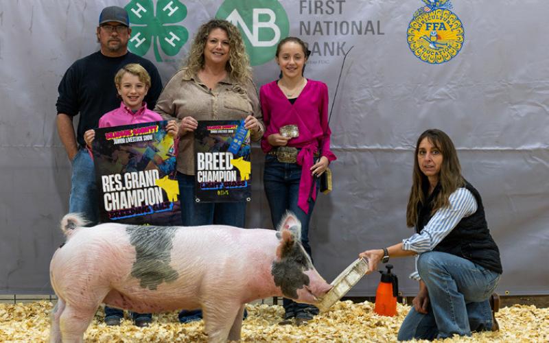 BREEDING GILT RESERVE GRAND CHAMPION KINSLEY LAMBERT