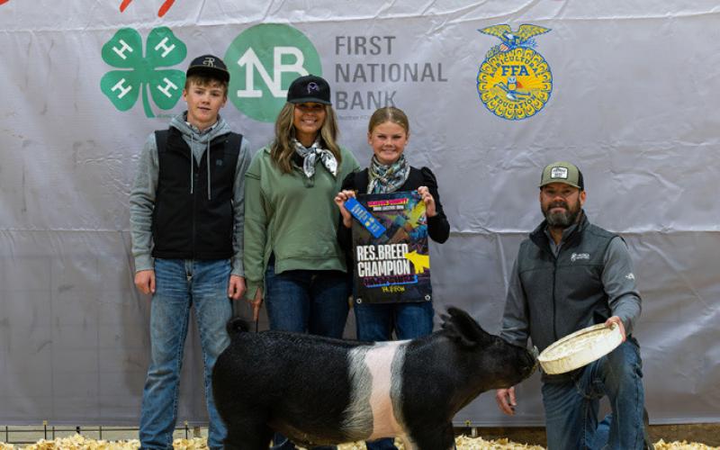 HAMPSHIRE BARROW RESERVE BREED CHAMPION FOX YEARY