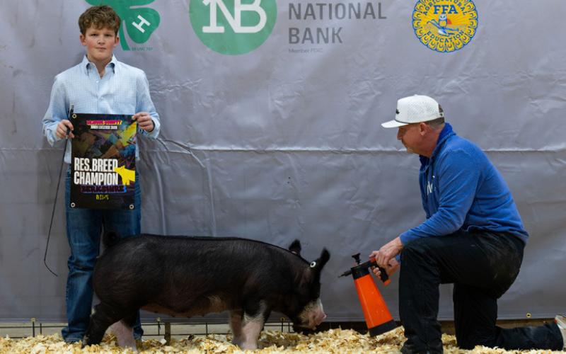 BERKSHIRE GILT RESERVE BREED CHAMPION JUSTUS TUCKER