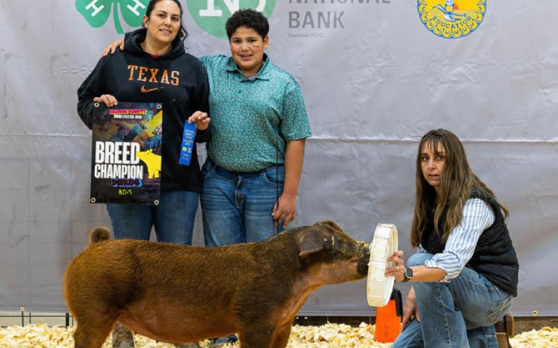 DUROC BREED CHAMPION JEREMIAH IVORY