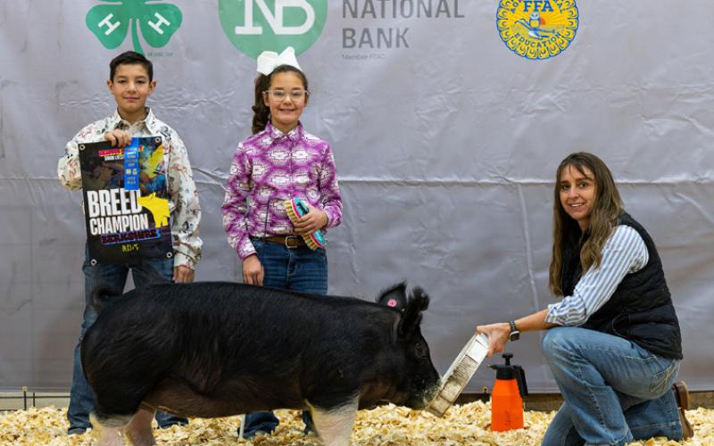 BERKSHIRE BREED CHAMPION GILT MAKENLEE FAIRCHILD