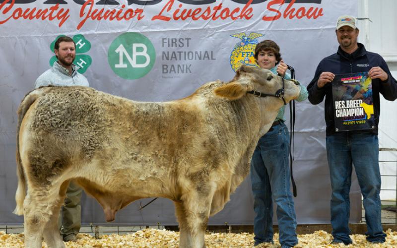 AMERICAN RESERVE BREED CHAMPION MASON KRUGER