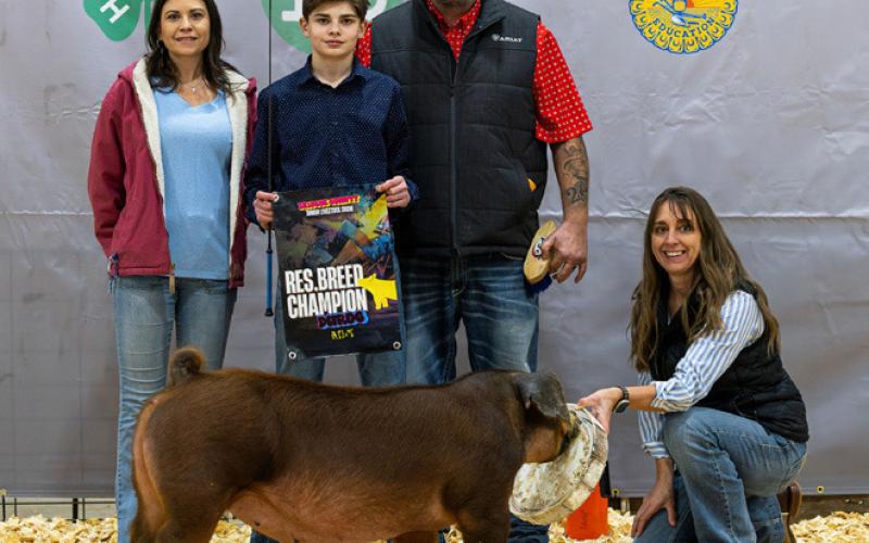 DUROC RESERVE BREED CHAMPION KORBIN HALL