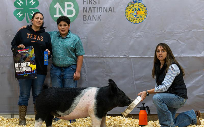 BREED CHAMPIONS