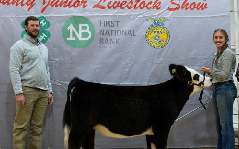 EUROPEAN BREEDING HEIFER RESERVE BREED CHAMPION HARTLEE BATTEY