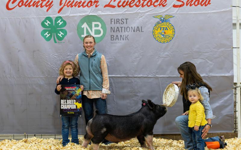 BERKSHIRE BARROW RESERVE BREED CHAMPION RANDY HUGHES