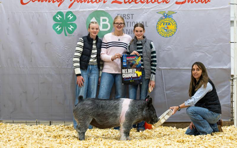 &amp;lt; LIGHT CROSS RESERVE BREED CHAMPION KINSEY RHODERICK