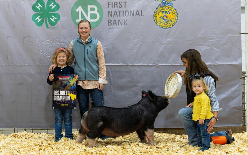 &amp;lt; BERKSHIRE BARROW, RESERVE BREED CHAMPION RANDY HUGHES