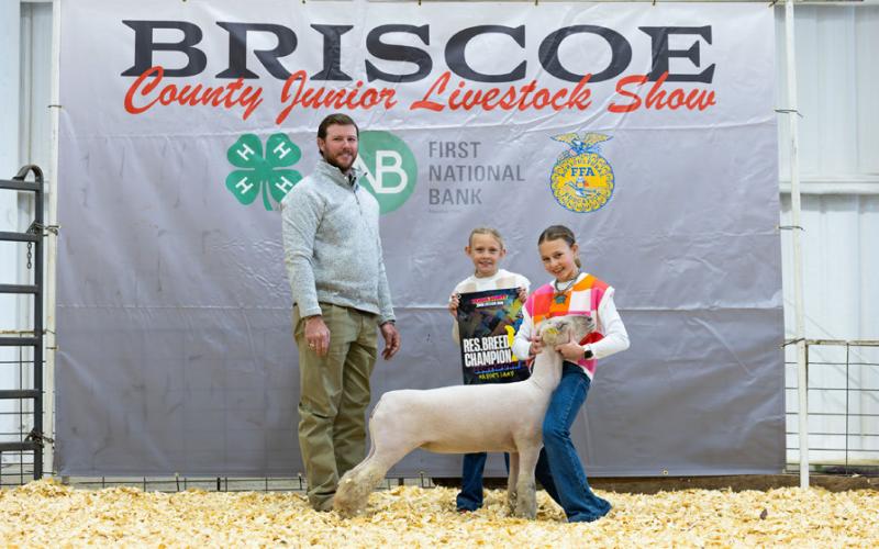 MARKET LAMB SOUTHDOWN RESERVE BREED CHAMPION MAISY FORMAN &amp;gt;