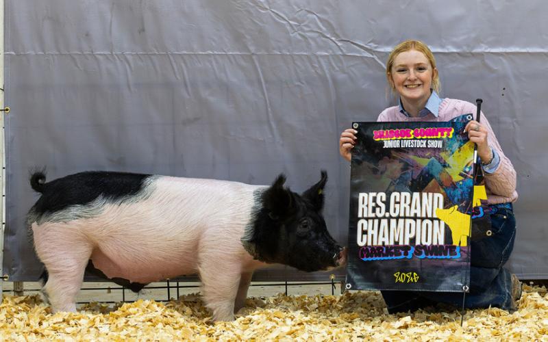 MARKET SWINE RESERVE GRAND CHAMPION ALLIE PIGG