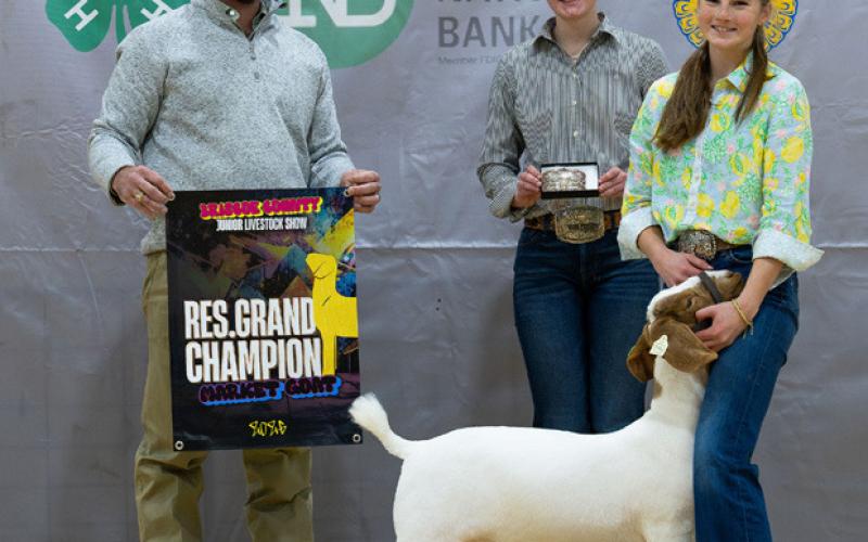 MARKET GOAT RESERVE GRAND CHAMPION LANEY FRANCIS