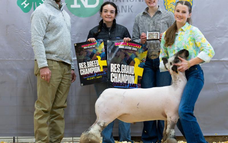 MARKET LAMB RESERVE GRAND CHAMPION LANEY FRANCIS