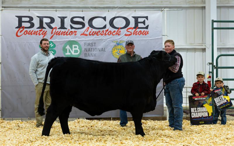 BREEDING HEIFER RESERVE GRAND CHAMPION DAX SAUL