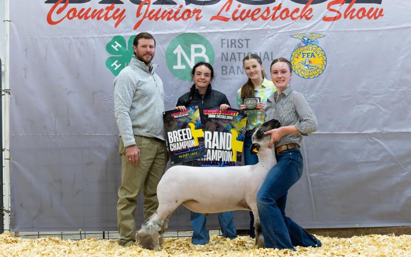 MARKET LAMB GRAND CHAMPION MADDIE FRANCIS