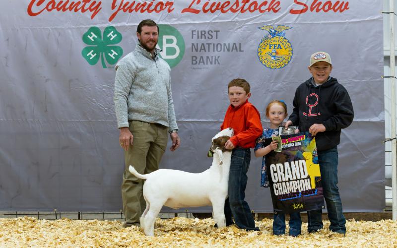 MARKET GOAT GRAND CHAMPION KREESE BURSON