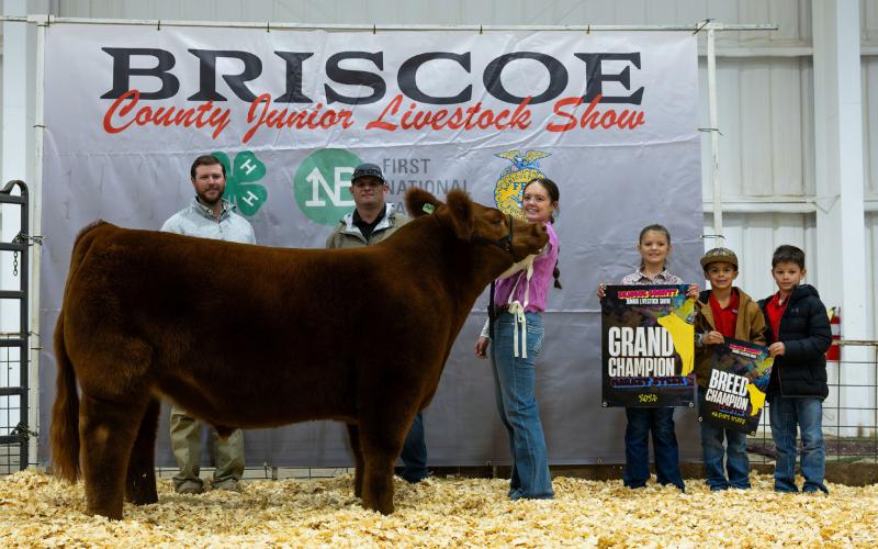 MARKET STEER GRAND CHAMPION KOLLINS BROCK