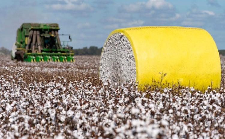 JANUARY 16 The cotton market will be one of the topics discussed at the 2024 Southeast Panhandle Agriculture Conference Jan. 16 in Clarendon. | TEXAS A&amp;M AGRILIFE PHOTO