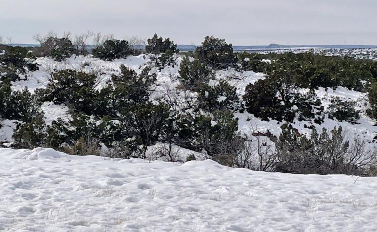 MATADOR RECORD Matador measured a whopping 11 inches of snow, which wet snow weighed down trees and power lines but created a picturesque scene as our newspaper courier droveTexas Highway 70. | DELISA SOLES PHOTO
