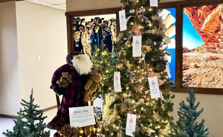 Community members looking to share joy during the holidays may stop by the First National Bank in Quitaque and pick an angel from their tree. The generosity of donors helps make Christmas a little brighter for children in our community. Wrapped gifts should be returned to the bank by December 15. | COURTESY PHOTO