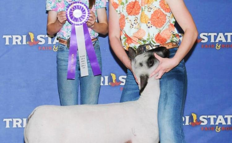Silverton’s Francis sisters won honors at last week’s Tri-State Fair in Amarillo. Maddie Francis received Reserve Grand, a Medium weight Medium Wool Champion, and a 4th place. Laney Francis received two 3rd places. | COURTESY PHOTO