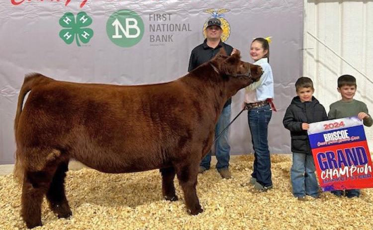 STEER GRAND CHAMPION KOLLINS BROCK