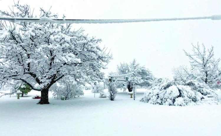 ROARING SPRINGS Snow blankets Roaring Springs on Tuesday, Jan. 24, in this photo courtesy of Jeff Thacker, posted by the National Weather Service. See complete snow weather coverage on page 7. | COURTESY PHOTO