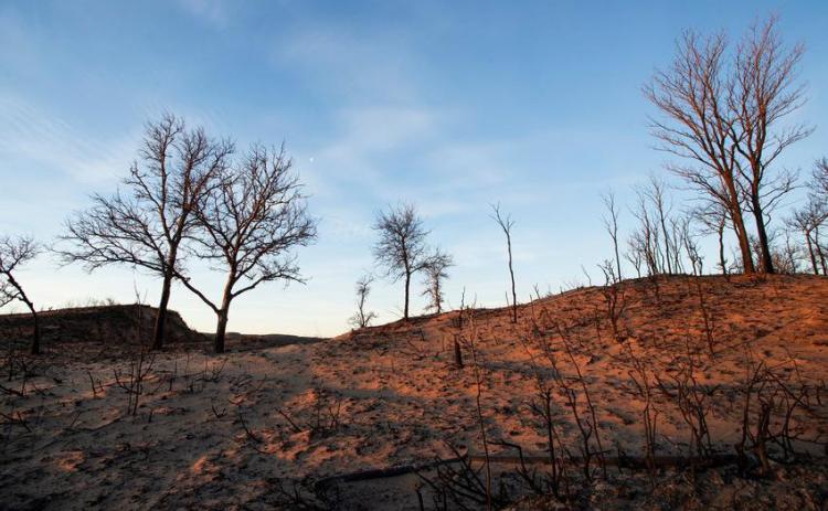 Farm Credit organizations come together, contribute $380,000 to wildfire relief efforts in the Texas Panhandle