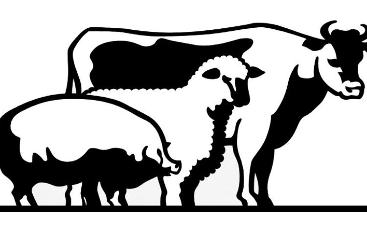 Briscoe livestock show slated for next weekend in Silverton