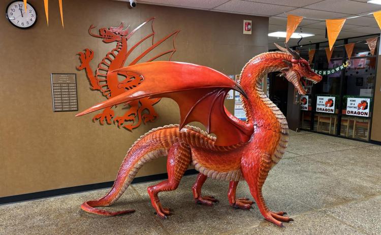 DRAGON DONATION