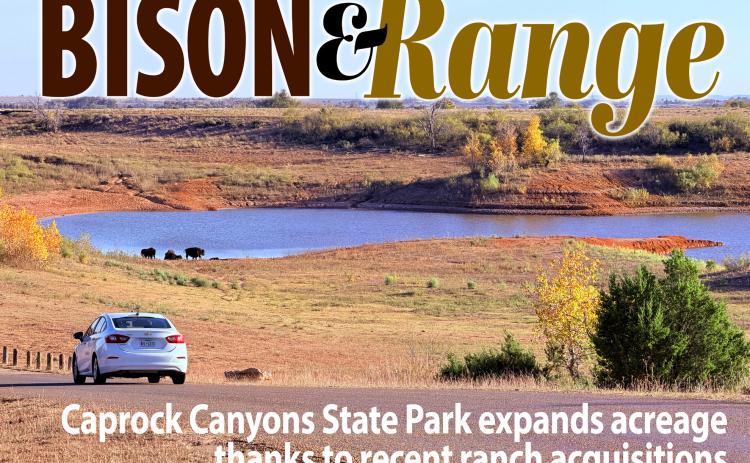 BISON & RANGE