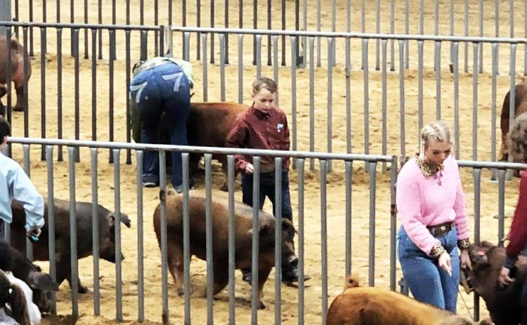 Motley County’s Haygen Elliott showed his good Duroc barrow at the Austin Livestock Show. | COURTESY PHOTO